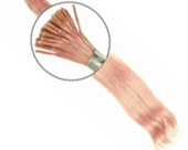 Hair Extension